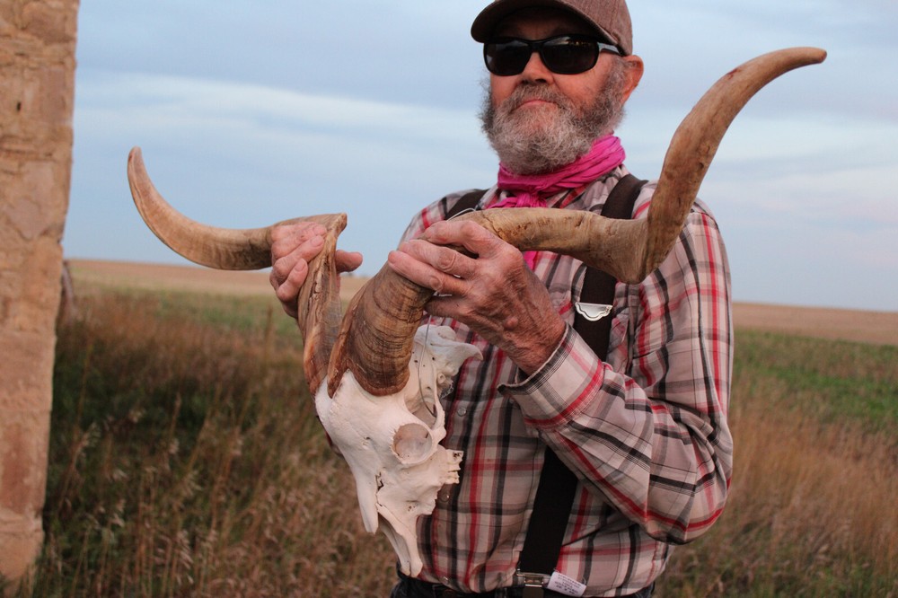 Goat Head Skull Horns