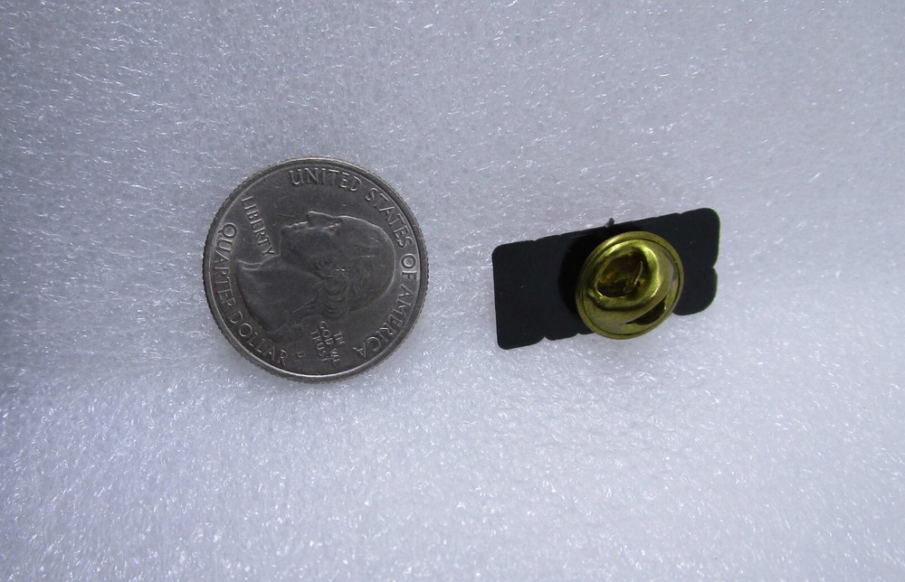 Dallas Texas Plastic Pin