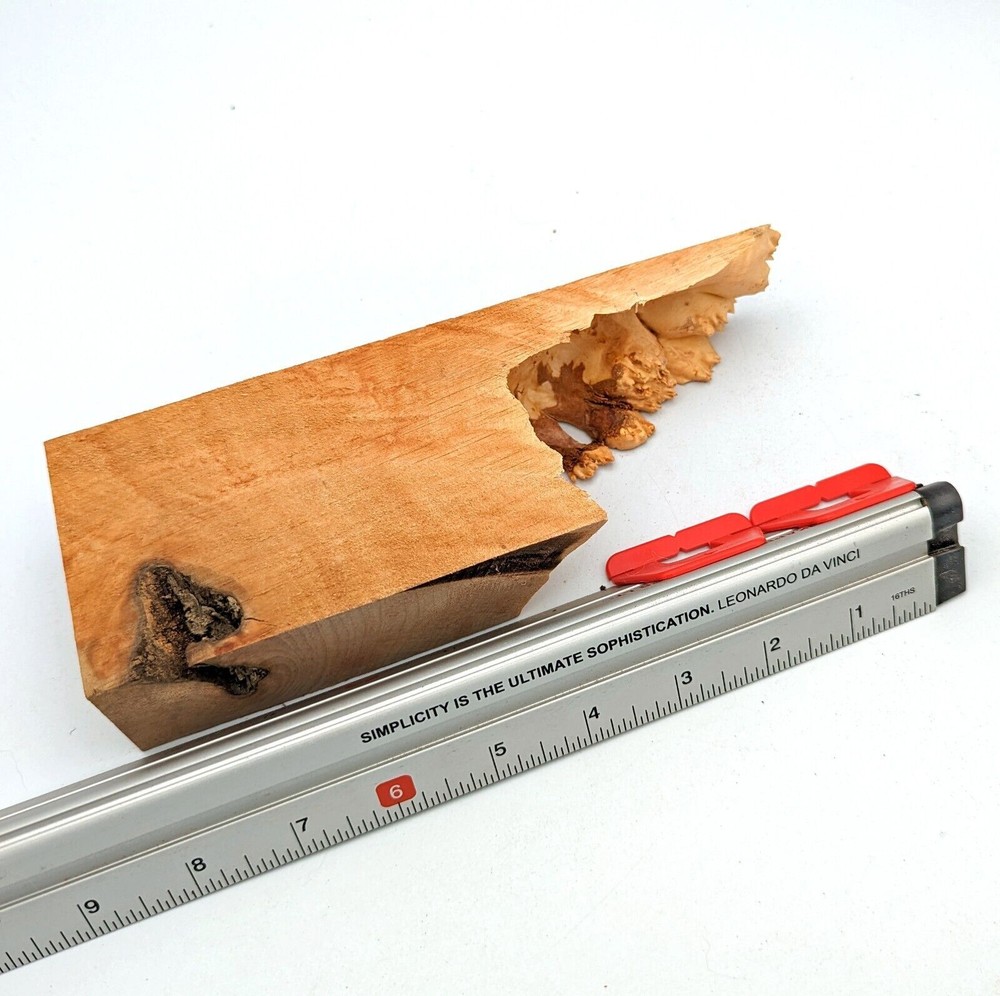 Maple Burl Scrap