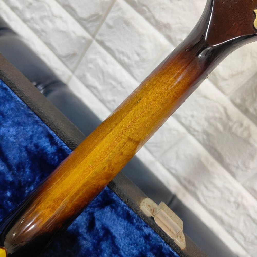 BLUE BELL F-10 Mandolin Bluebell