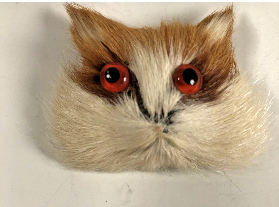 Cat Pinback Button Made in China approx 2in Square Fur Face