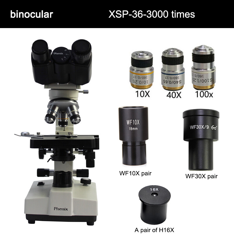 Microscope Binocular professional biological students experimental detection