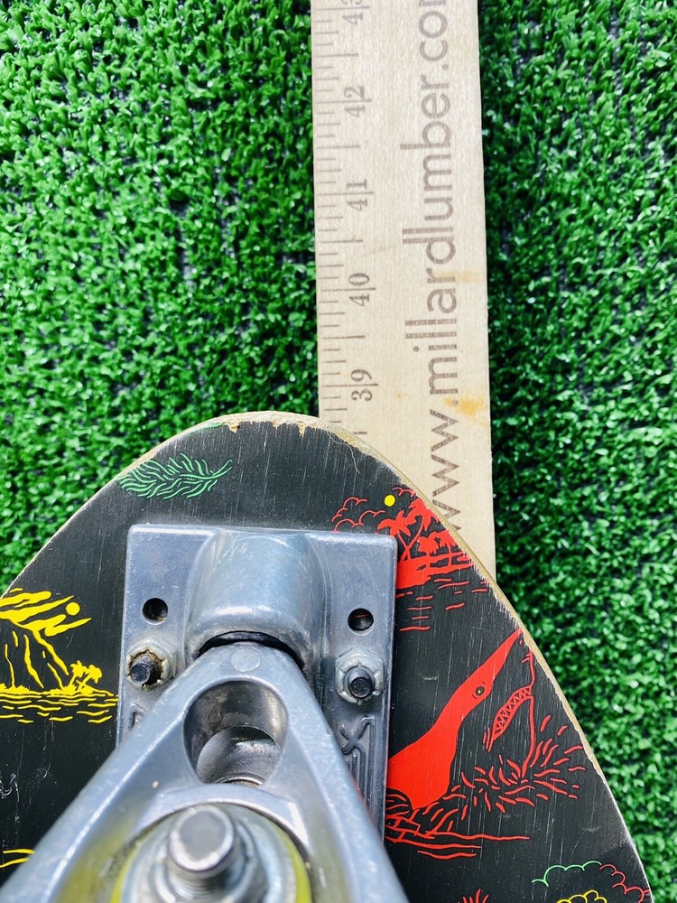 Z-flex Longboard Skateboard Longboard Complete Cruiser