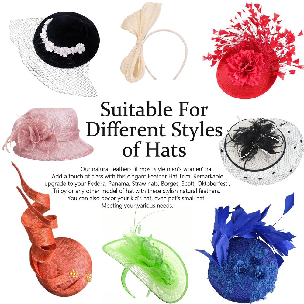 SendyFeather Hat Feathers 20 Styles Natural Assorted 4-6Inch, Multicolored