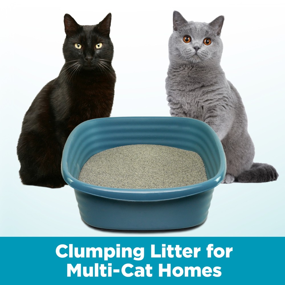 Cloud Control Multi-Cat Clumping Cat Litter with Hypoallergenic Light Scent