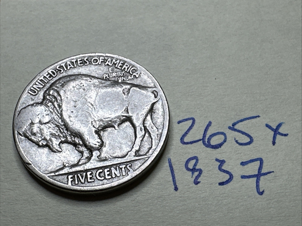 1937 5C Buffalo Nickel (7)265X