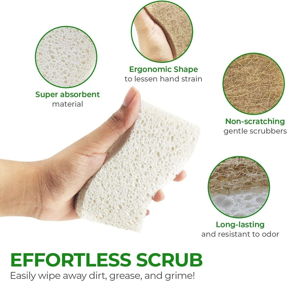 Biodegradable Natural Sponge - Compostable Cellulose & Coconut Walnut 6/12/24 ct