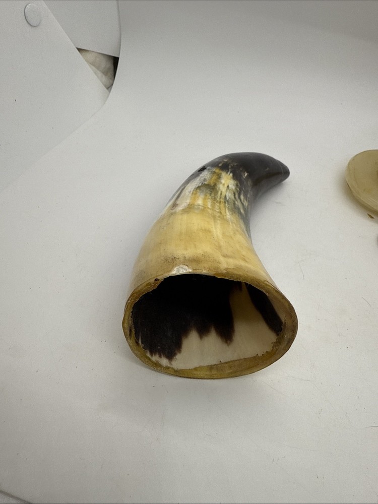 Powder Horn, 6”