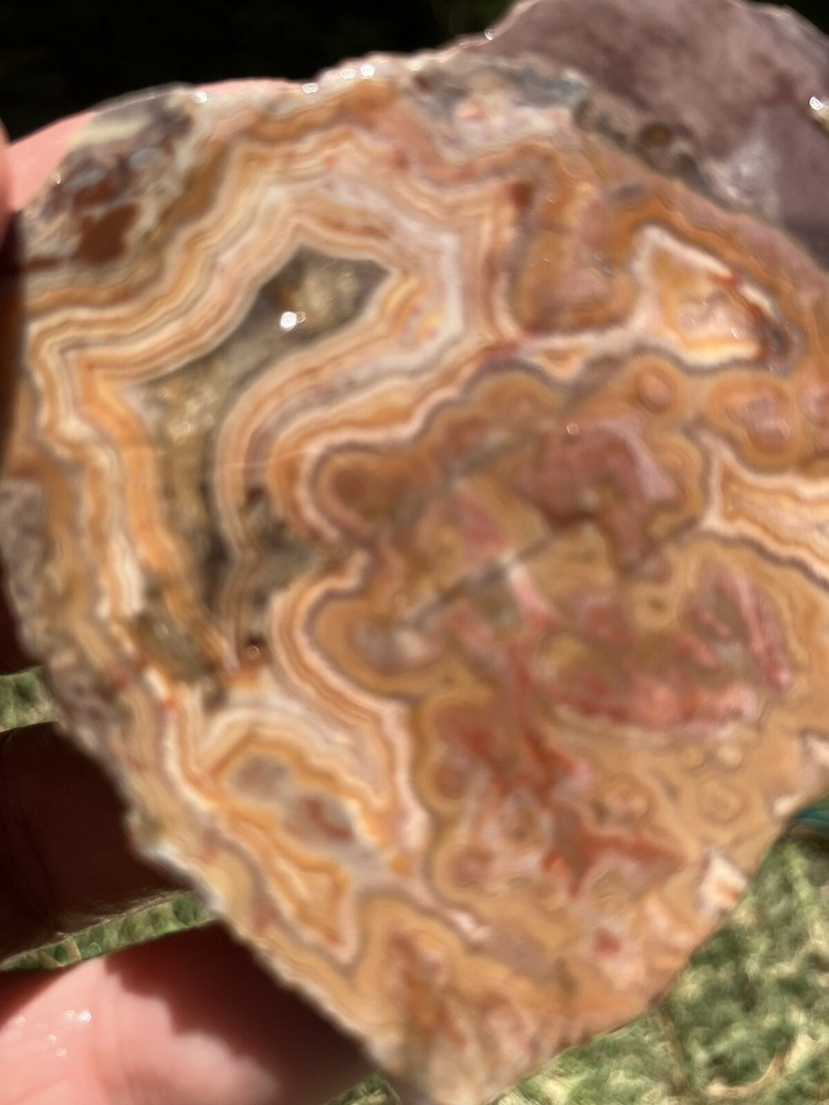 Dryhead Agate Slab (Montana)