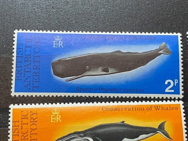 1977 BRITISH ANTARCTIC TERRITORY ##64-68, WHALES, COMPLETE, MNH