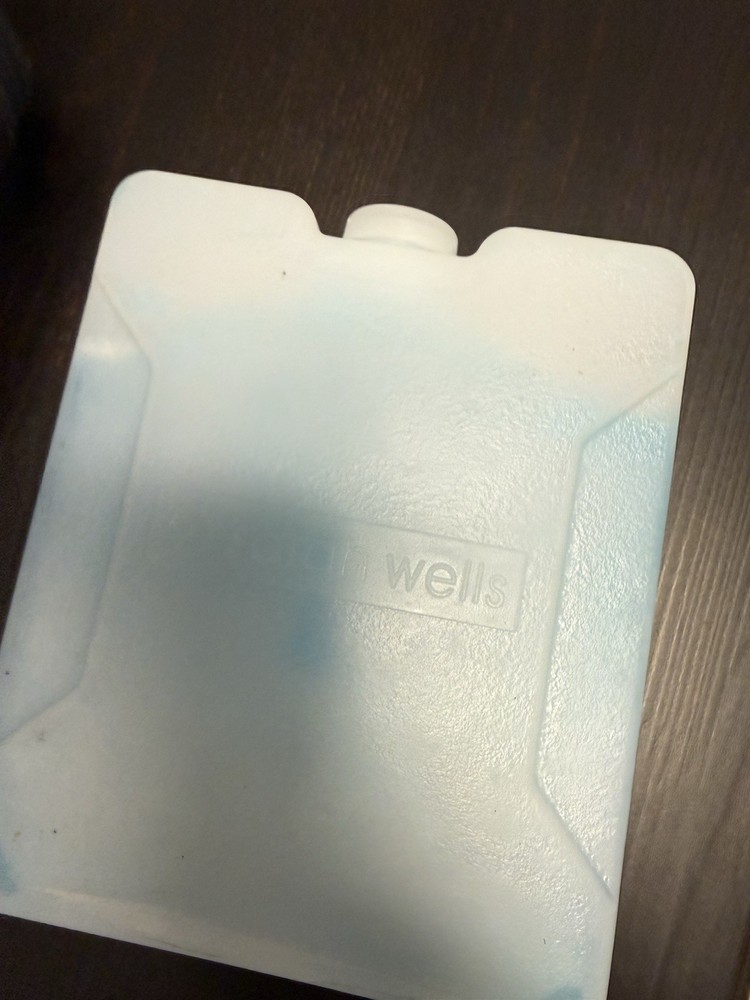 Sarah Wells Breast Pump Cooler