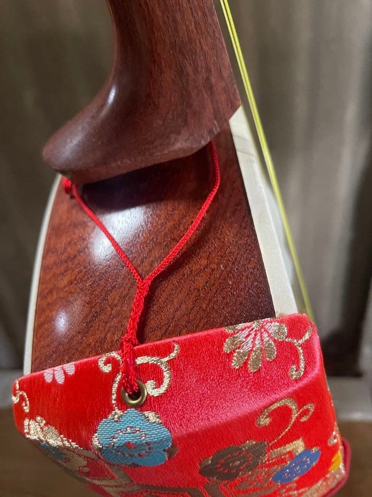 Luxury Shamisen With Case