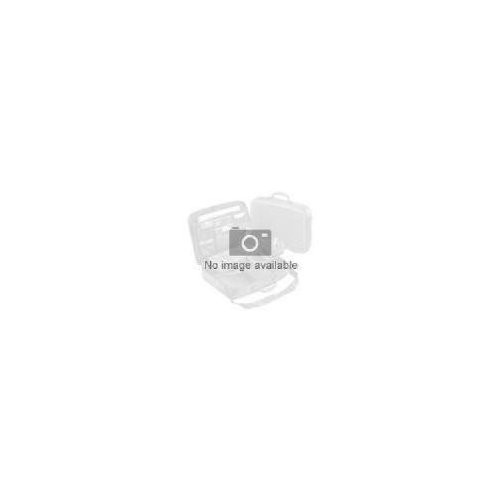Ergotron DS100 Pole (20137200)