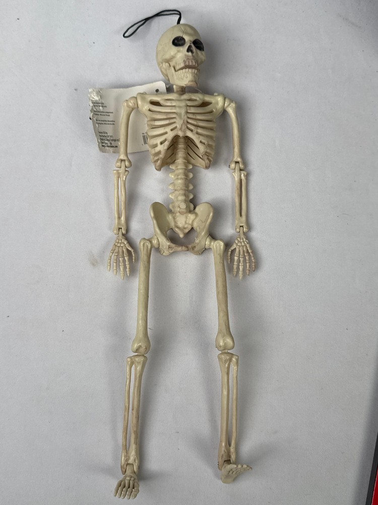 16" Poseable Plastic Skeleton Decoration, Movable Joints, Hanging Loop