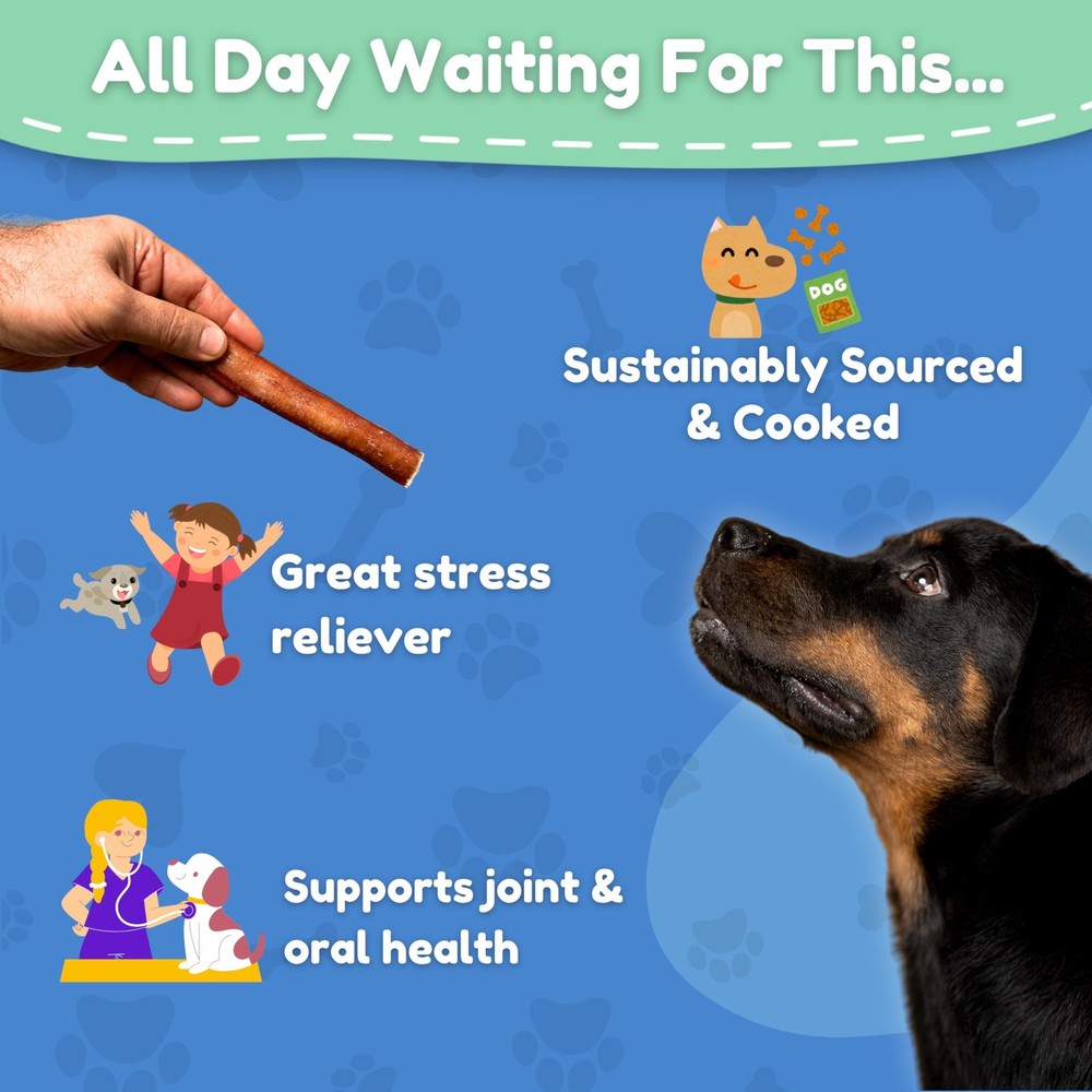 Fetch & Fun BULLYSTICKS - 6 Inch Bully Sticks (Thick - 16 Count) Bully Sticks...