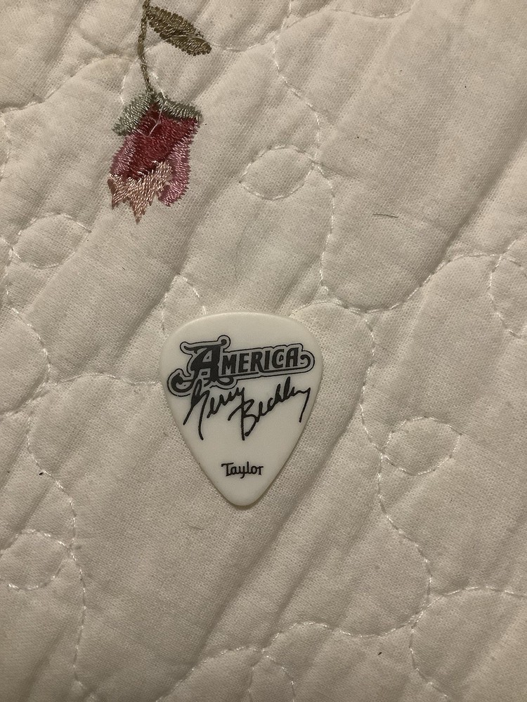 America Guitar Pick