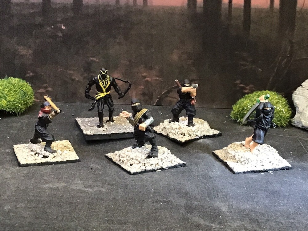 Ninja (5) 25mm