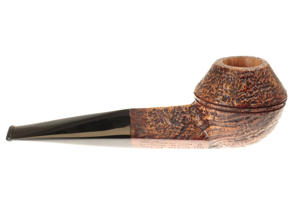Ser Jacopo S2 (B) Maxima Maxima - Straight Rhodesian