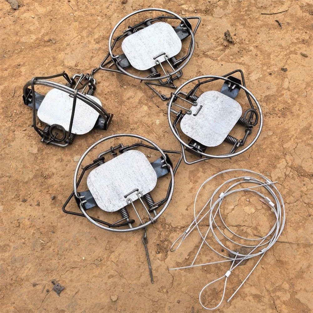 4Pc 5.12In / 13cm Coil Spring Nutria Rabbit Trap Mice Fox Gopher Mole Rat Mouse