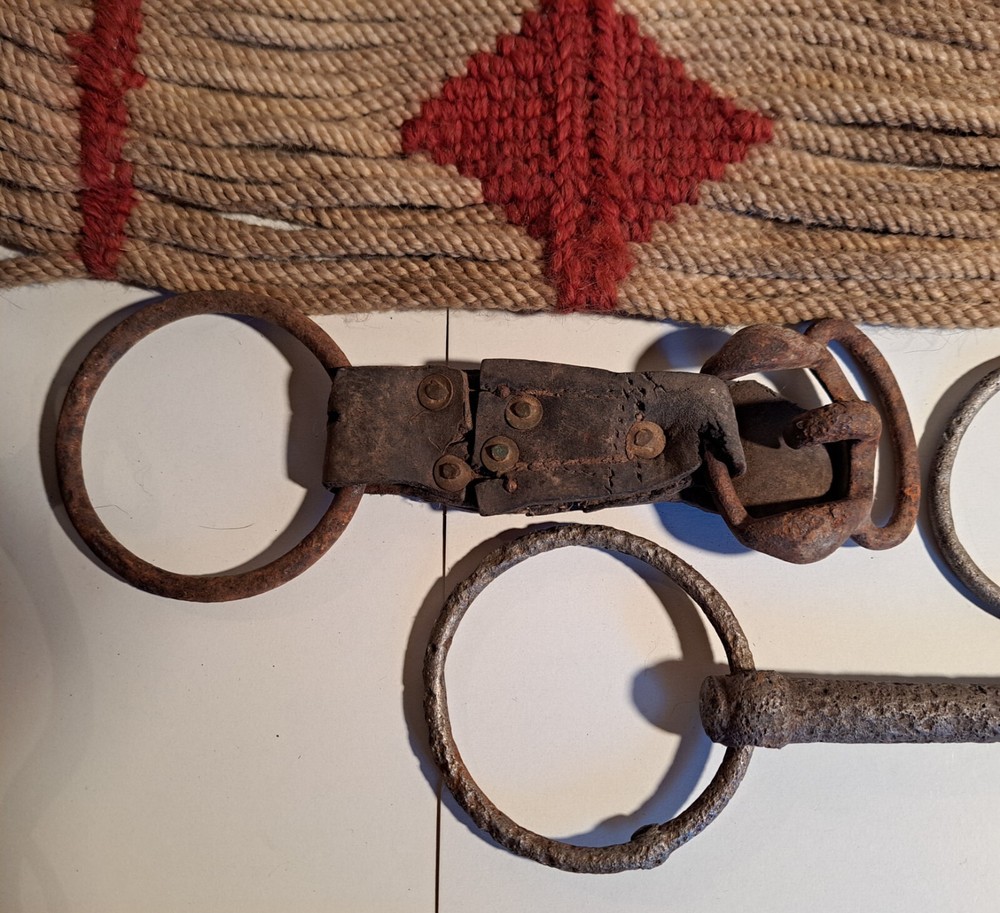 Rustic Western Horse Cowboy Wall Decor Cinch BITS