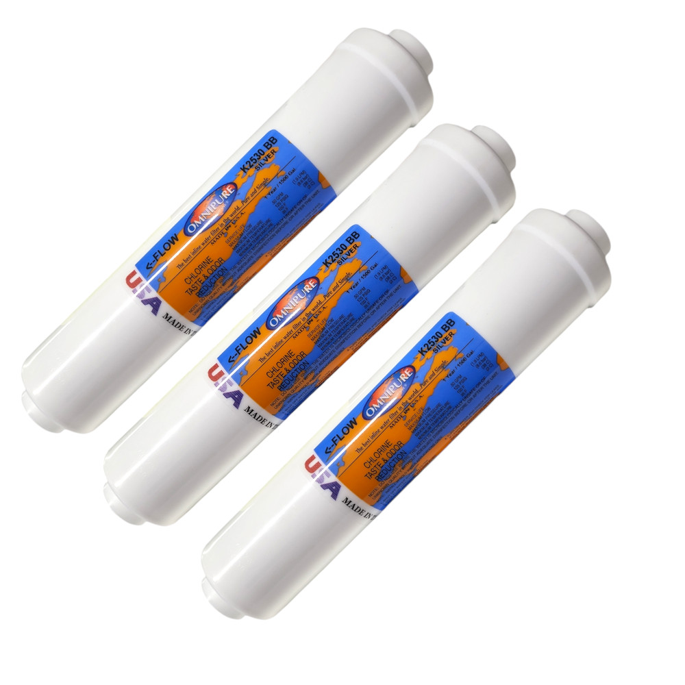 Omnipure K2530-BB Silver and Carbon Water Filter 10" x 2" Postfilter 1/4"Female