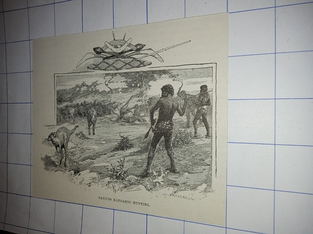 Natives kangaroo hunting 1890