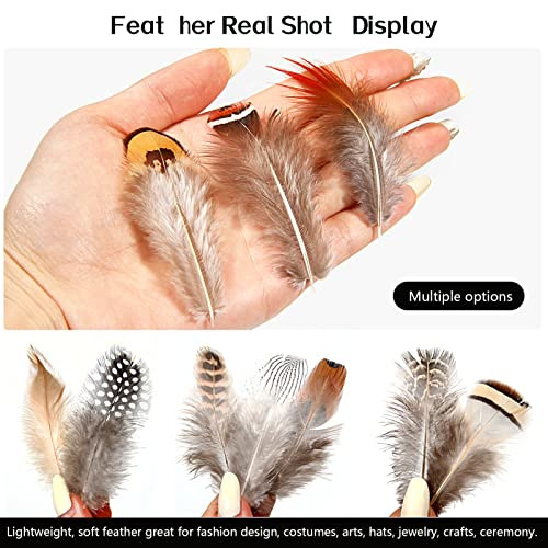 SendyFeather 200pcs 10 Style Natural Feathers Assorted Mixed Feathers for