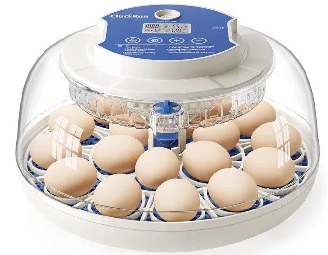 Incubators for Hatching Eggs,18 Egg Incubator with Automatic Egg Turning 🪧