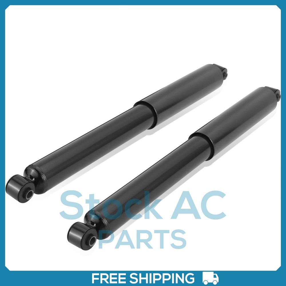 Rear Strut Assembly for 2005-2009 Dakota