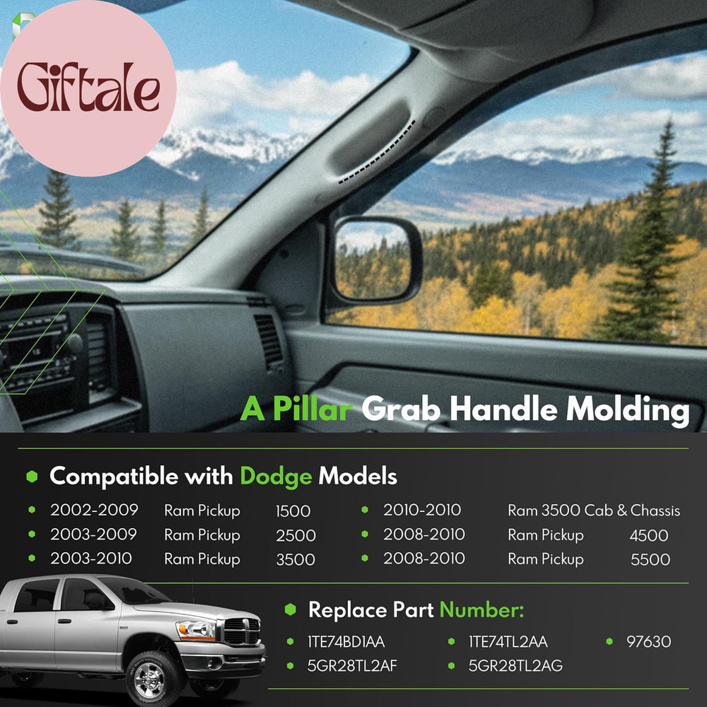 Front Right a Pillar Grab Handle Passenger Side Compatible with 2002-2010 Dodge