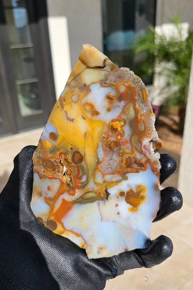 Polka Dot Agate Rough Cut Slab Oregon