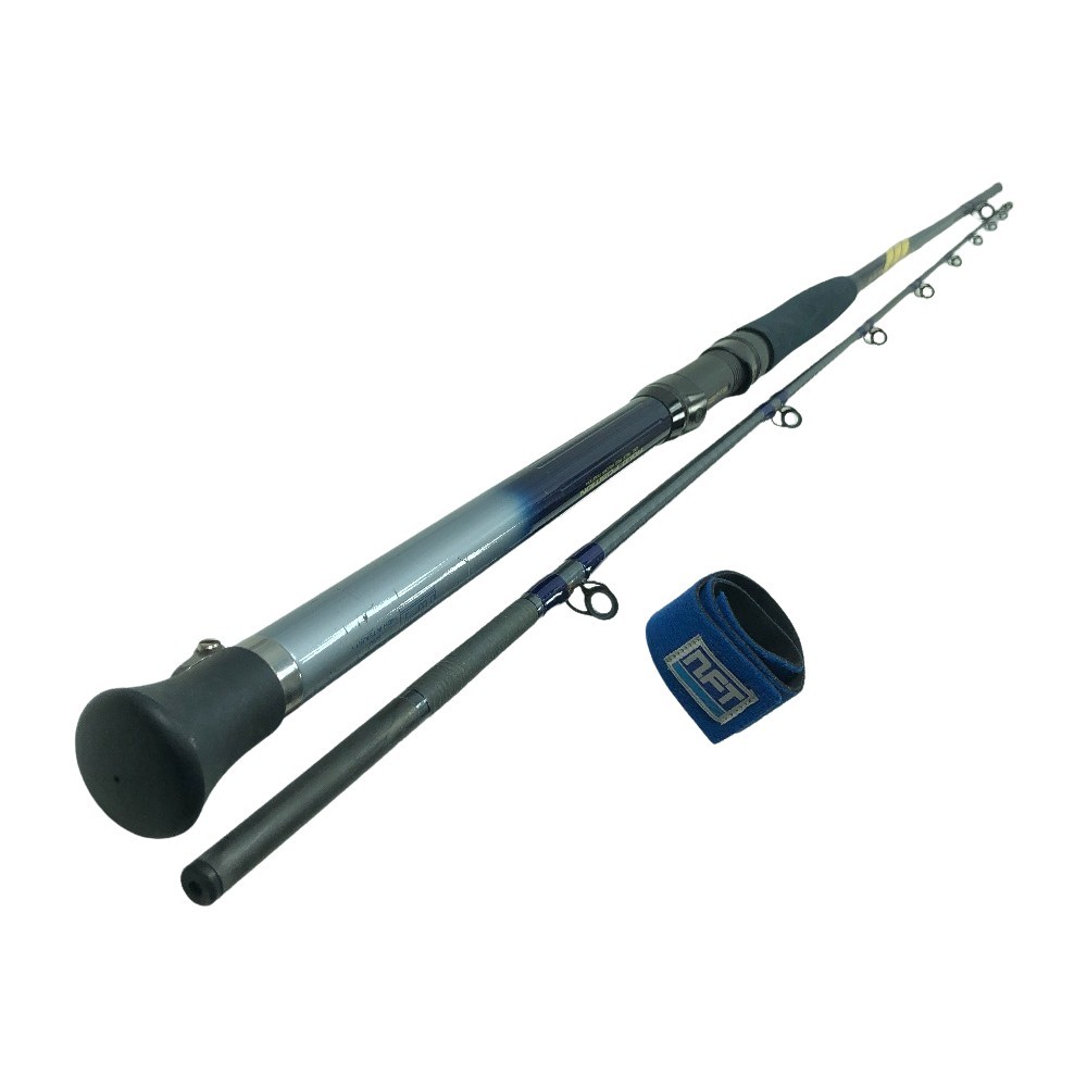 NFT Boat rod Sea Mighty 60/270