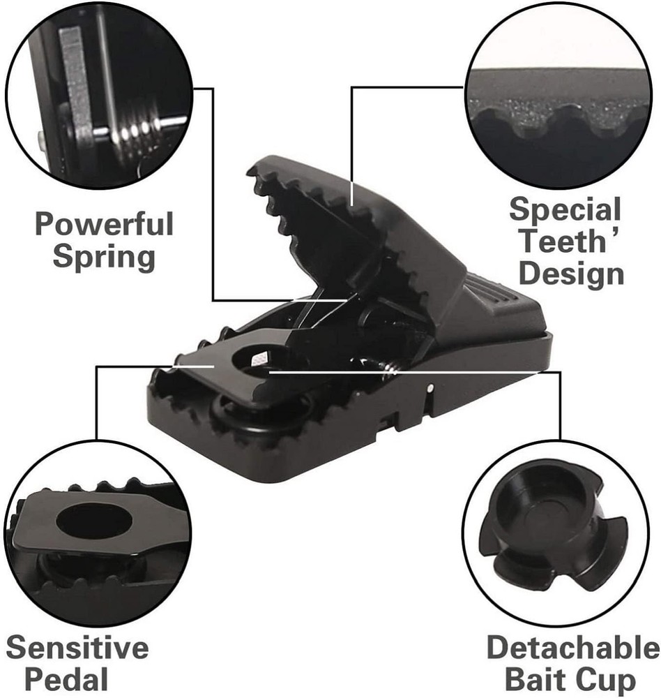 Safe 6-Pack Mice Traps for Indoor Use - Quick & Effective Rodent Control