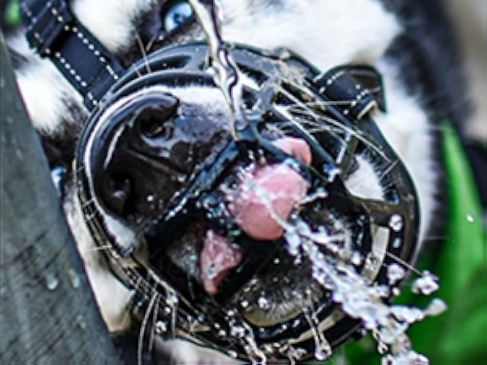 BARKL Dog Muzzle, Silicone Basket Muzzle for Small Medium Lar Dogs,