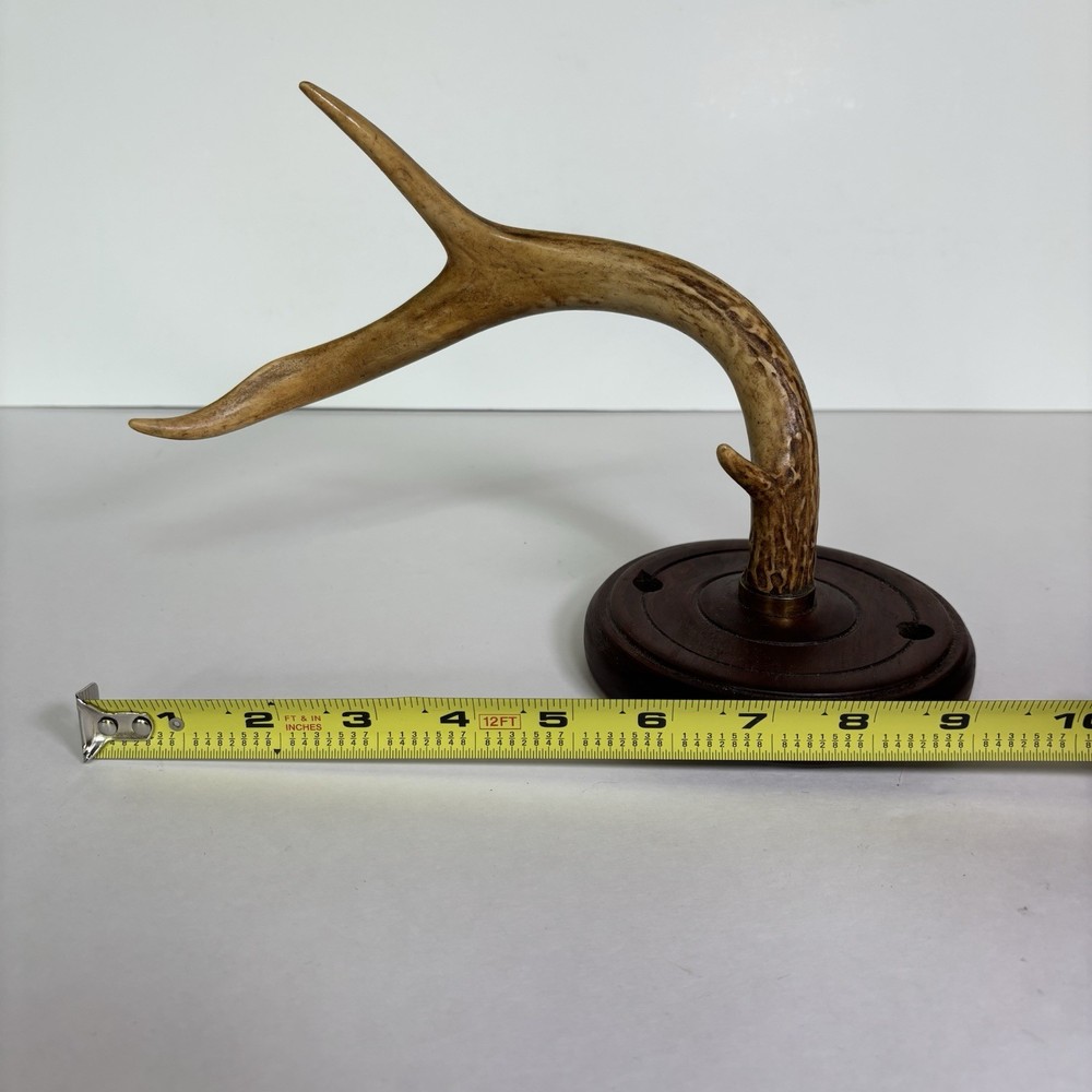 Antler Display