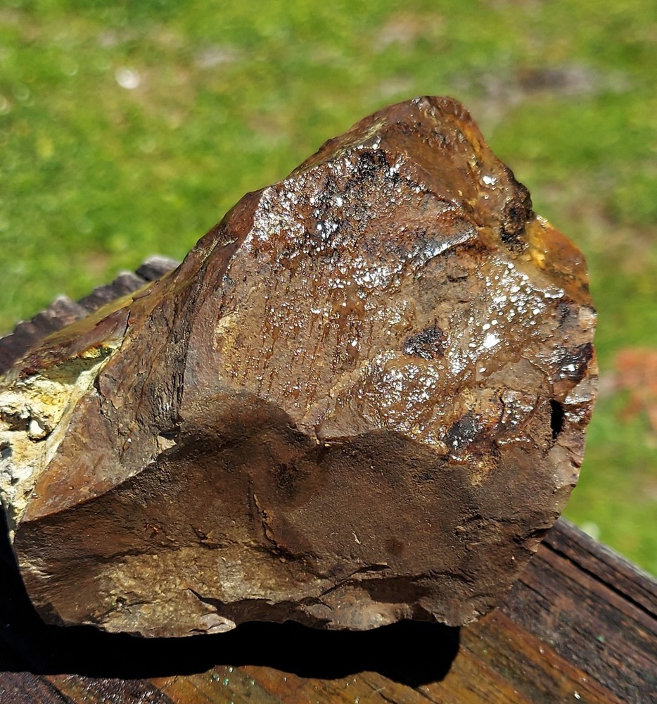 Biggs Jasper Rough Non Blue Variety