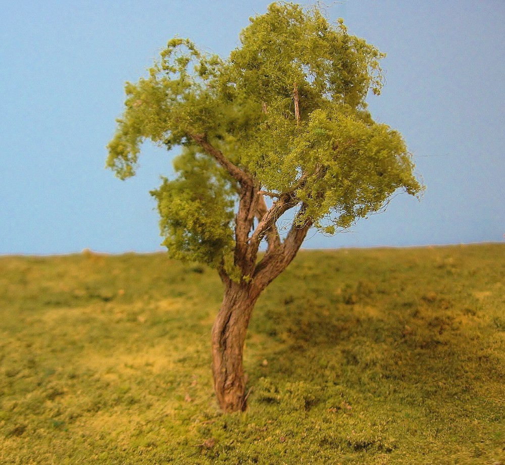 sage brush model trees
