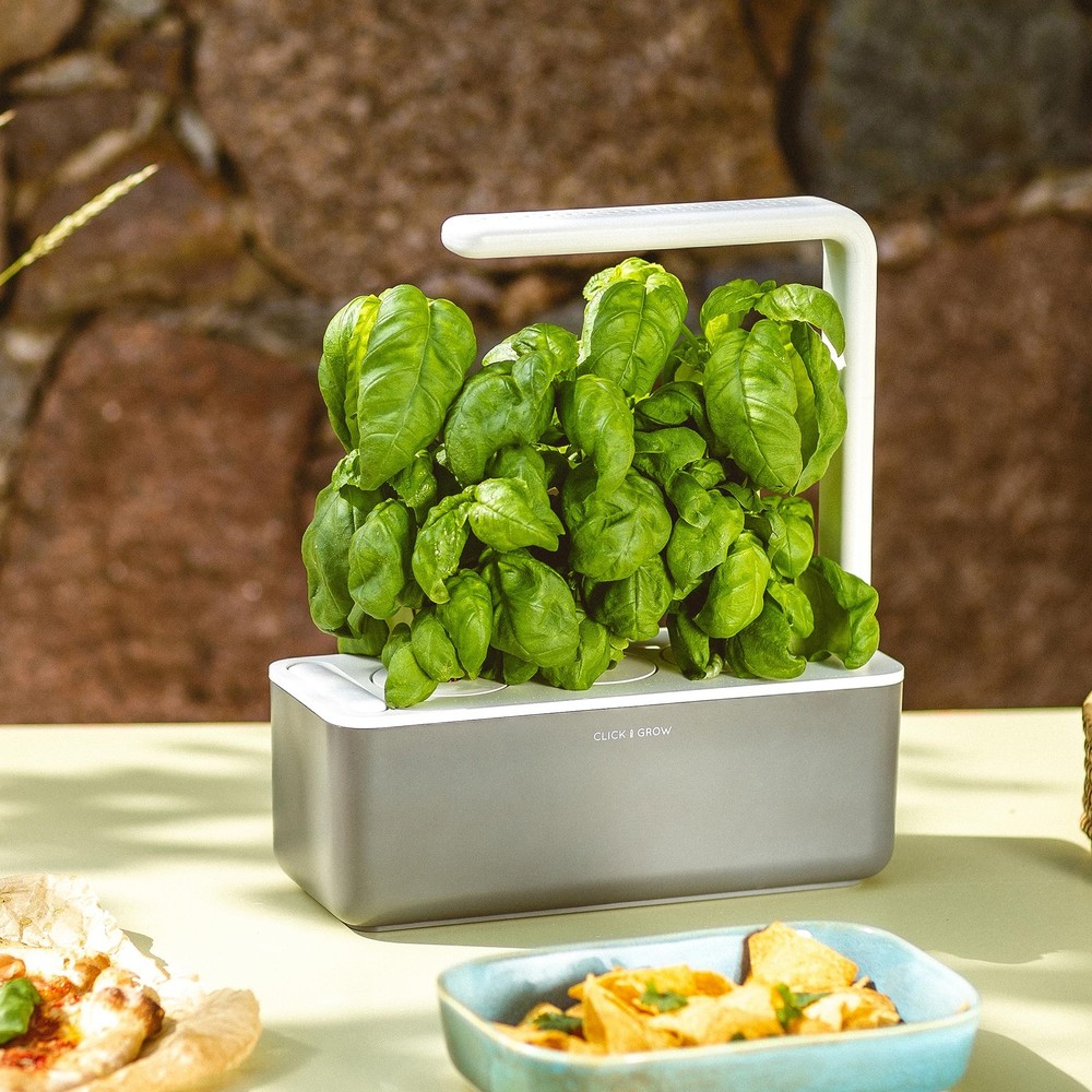 Smart Garden Basil Plant Pods, 3-Pack