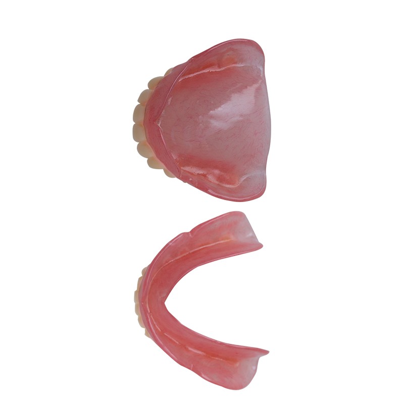 Denture Model for Dental Practice High Quality Lab Training Tool Customizable