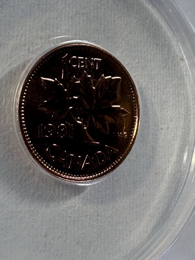 1981 Canada 1 Cent Proof Like Graded MS 66 RD by ANACS