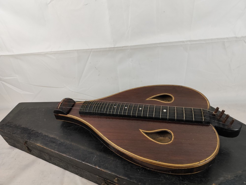 1900 Leaf Body 4 String Arch Psalter