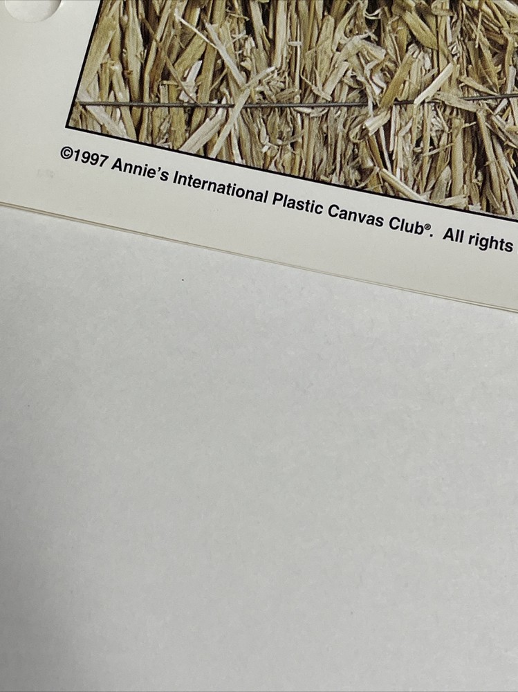 Birdhouse Wreath Annie's Plastic Canvas Pattern