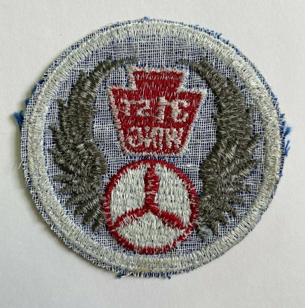 31st Wing Patch