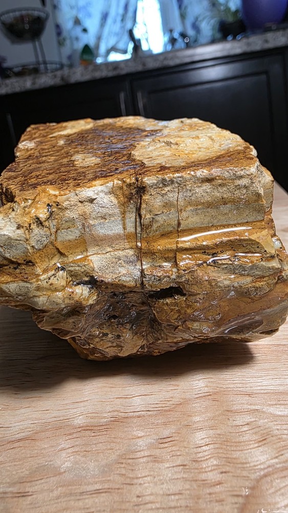 owyhee picture jasper