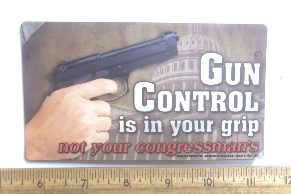 Gun Control is in Your Grip Magnet