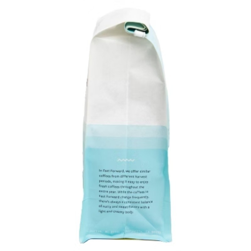 Fast Forward Medium Roast Whole Bean Coffee - 12oz