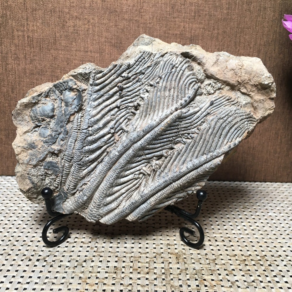 508g Natural crystal specimens md3198