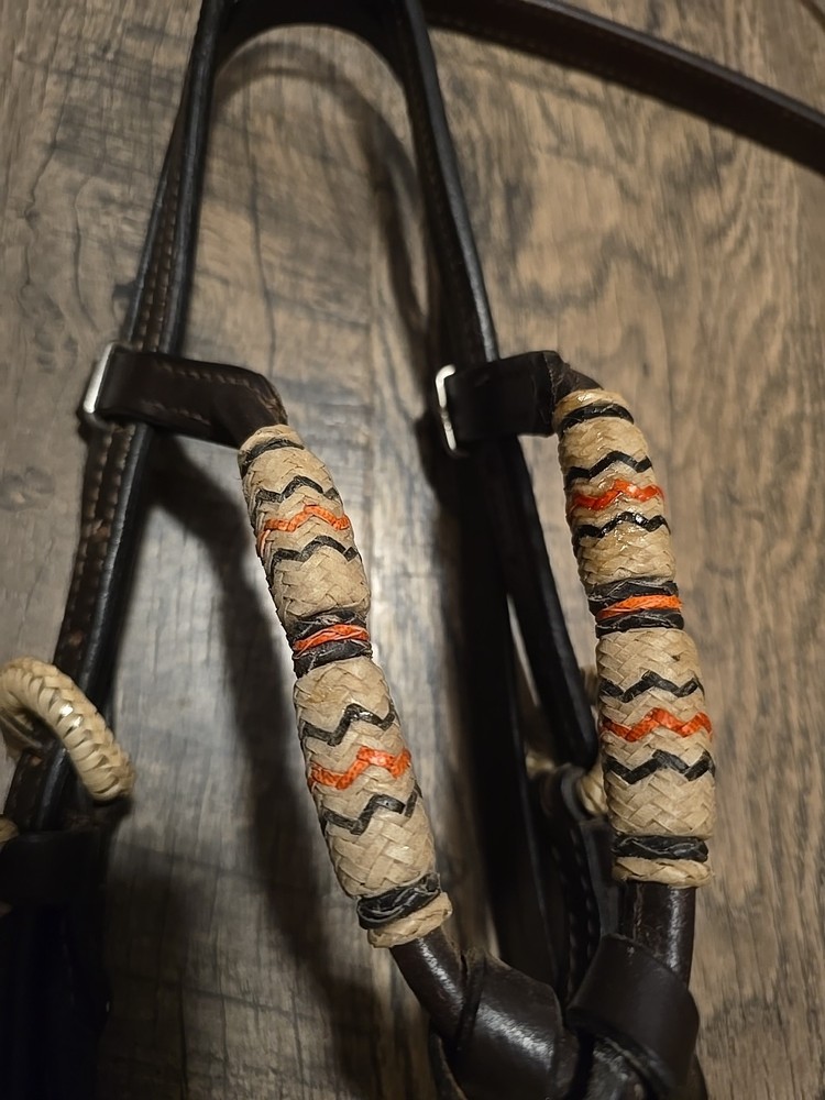 western bridle and reins