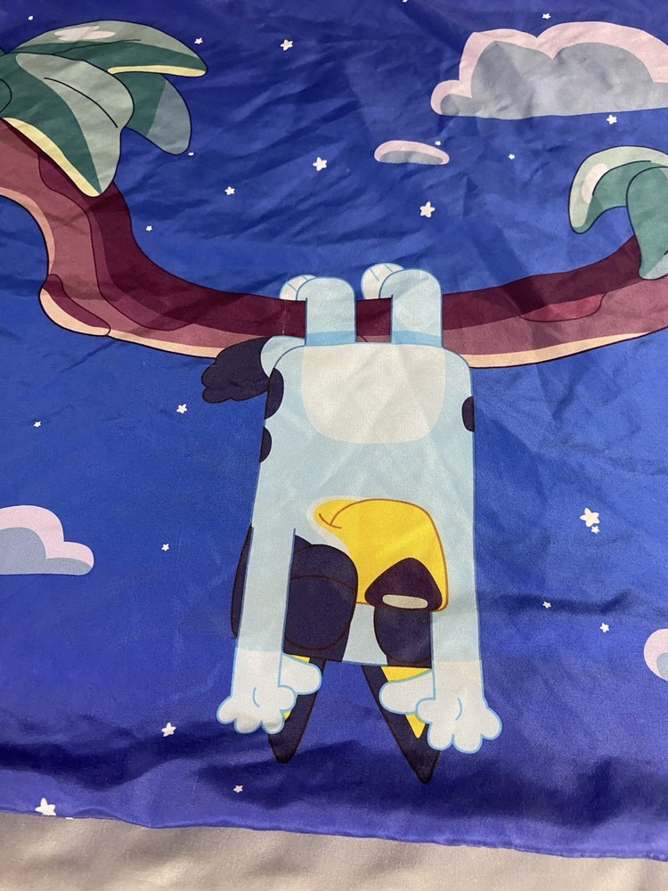 Bluey Double Sided Pillowcase 100% Polyester