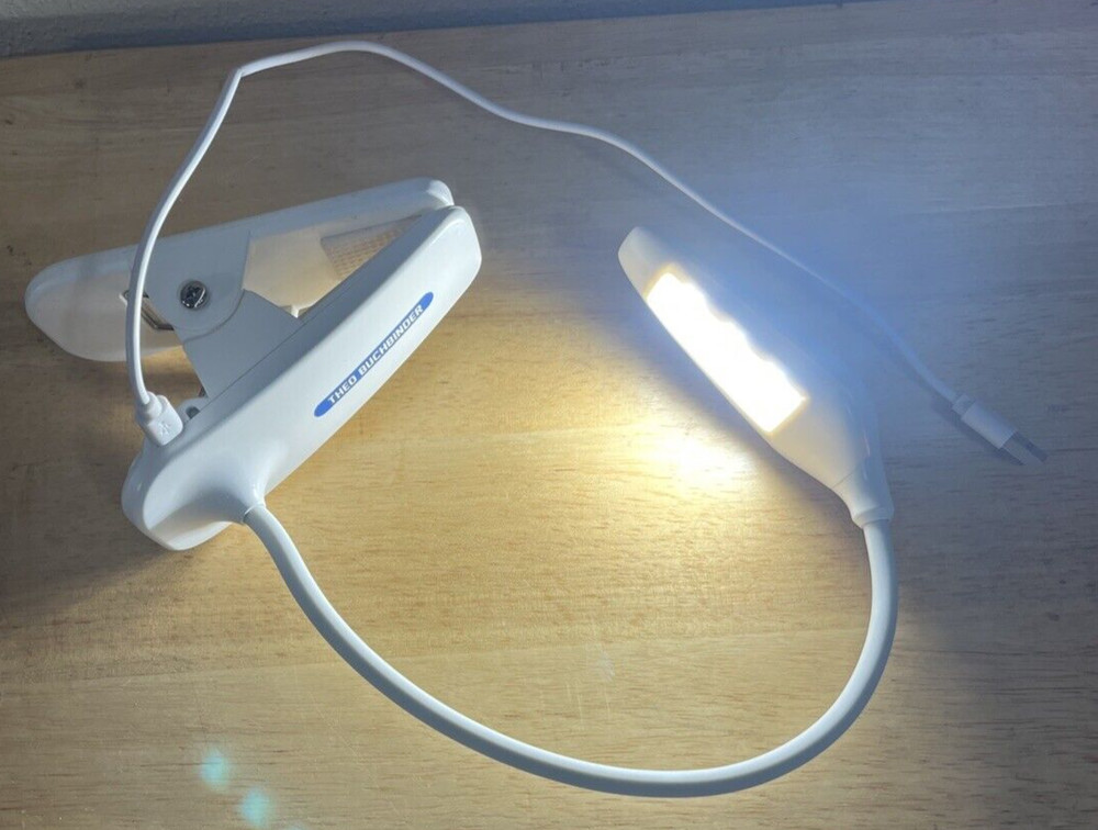 LED Clip Light